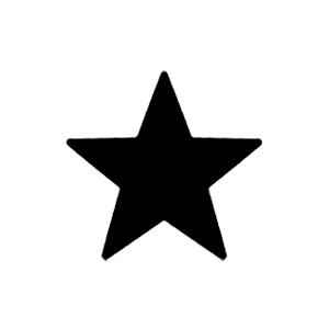 A black star shape on a white background.