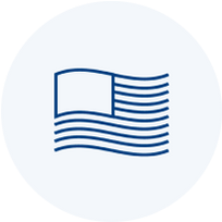A blue line icon of a waving American flag inside a light gray circle.