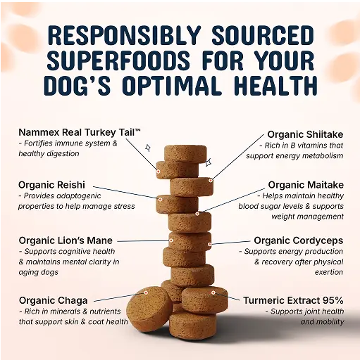 Stack of dog treats with labels describing their health benefits.