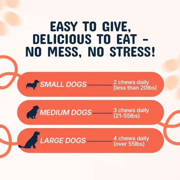Infographic showing daily dog chew dosage recommendations for small, medium, and large dogs based on weight.
