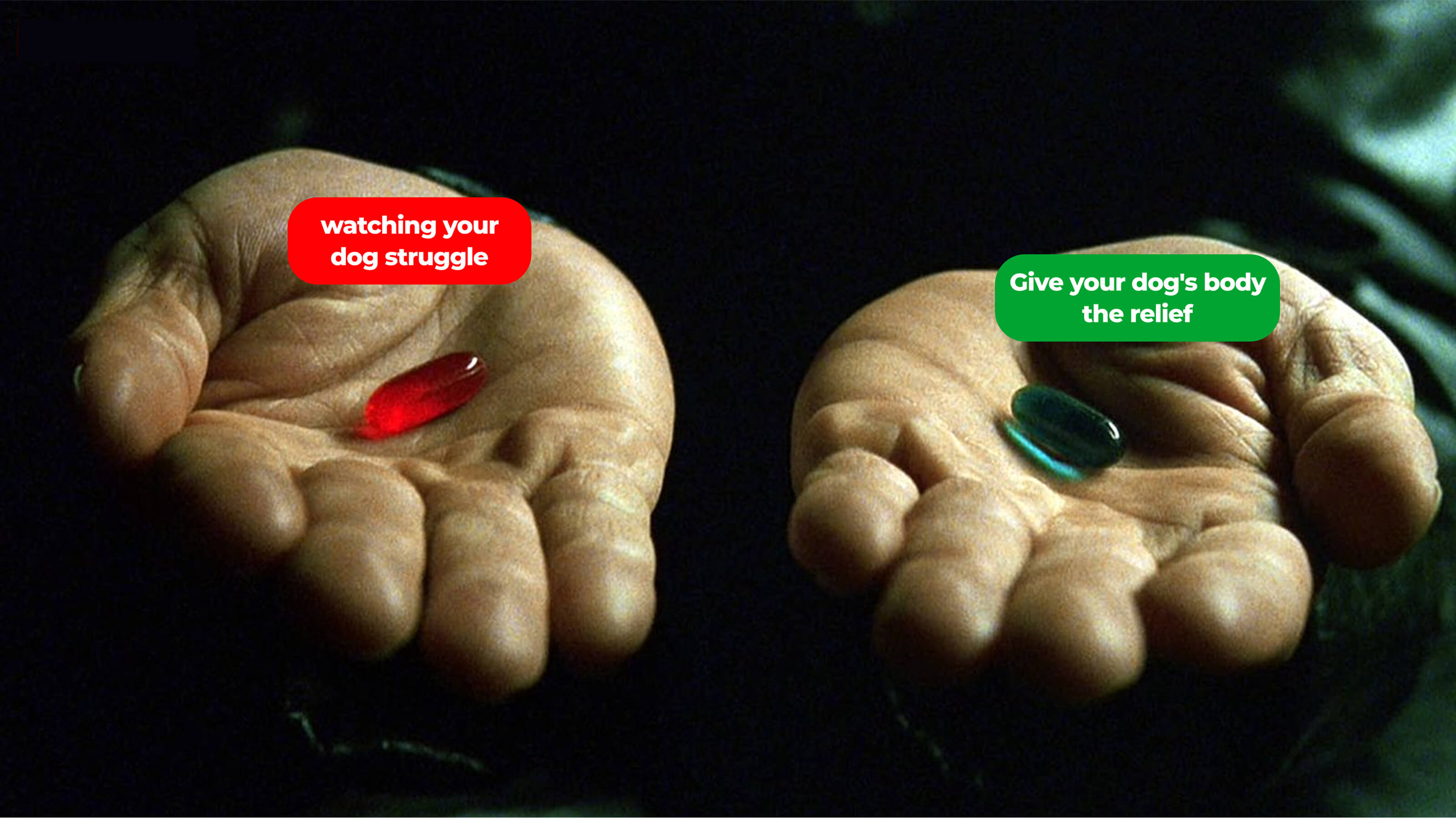 Two hands holding a red and a blue pill with text labels.