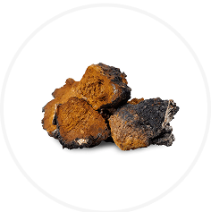 Cluster of brown and black rocks on a white background.