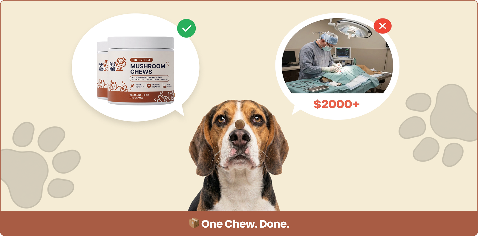 A beagle balances a treat on its nose, choosing between pet supplements and expensive vet surgery.