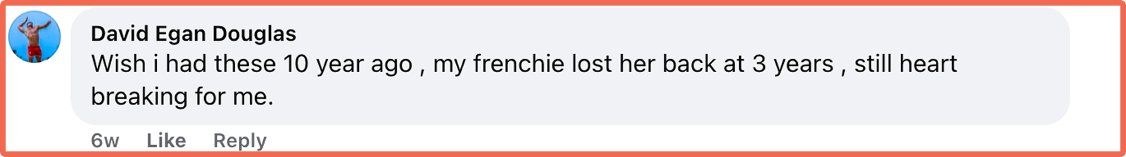 A screenshot of a comment from David Egan Douglas about his Frenchie who lost her back.