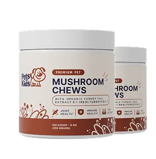 Two jars of Pets for Kids Premium Pet Mushroom Chews against a solid green background.