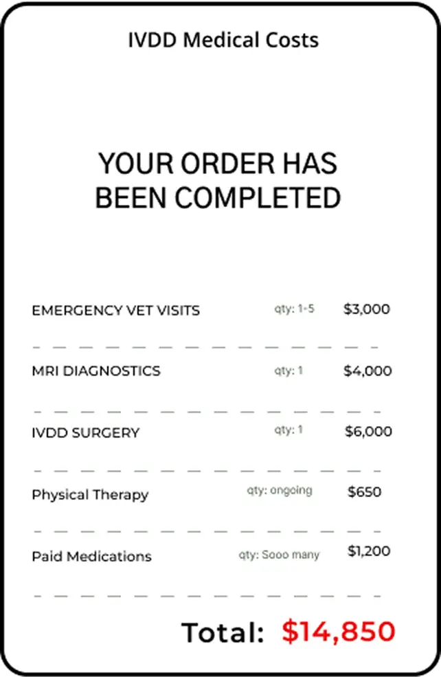 Invoice for IVDD medical costs totaling $14,850.
