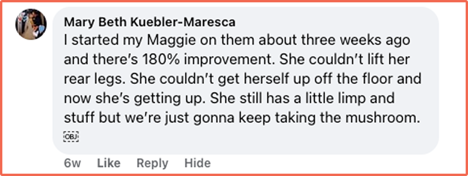 A screenshot of a social media comment from Mary Beth Kuebler-Maresca about her dog's improved mobility.