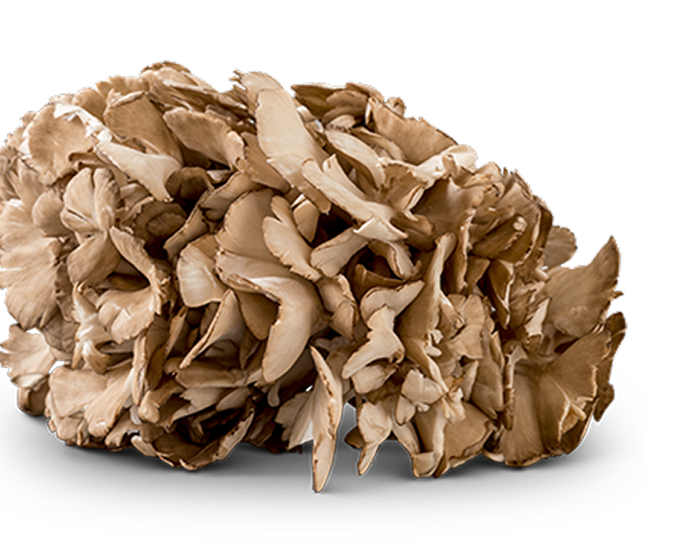 Cluster of brown mushrooms against a black background.