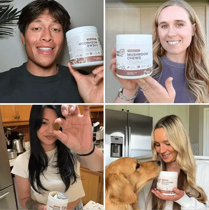 Four people holding containers of mushroom chews, one with a dog.