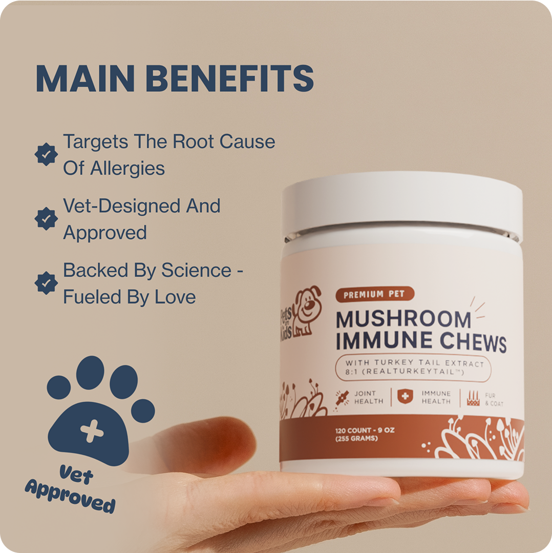 Hand holding a jar of mushroom immune chews for pets with benefits listed.