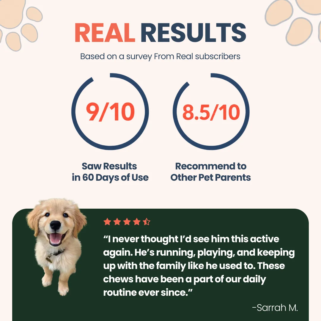 Infographic showing survey results, a customer testimonial, and a photo of a happy golden retriever puppy.