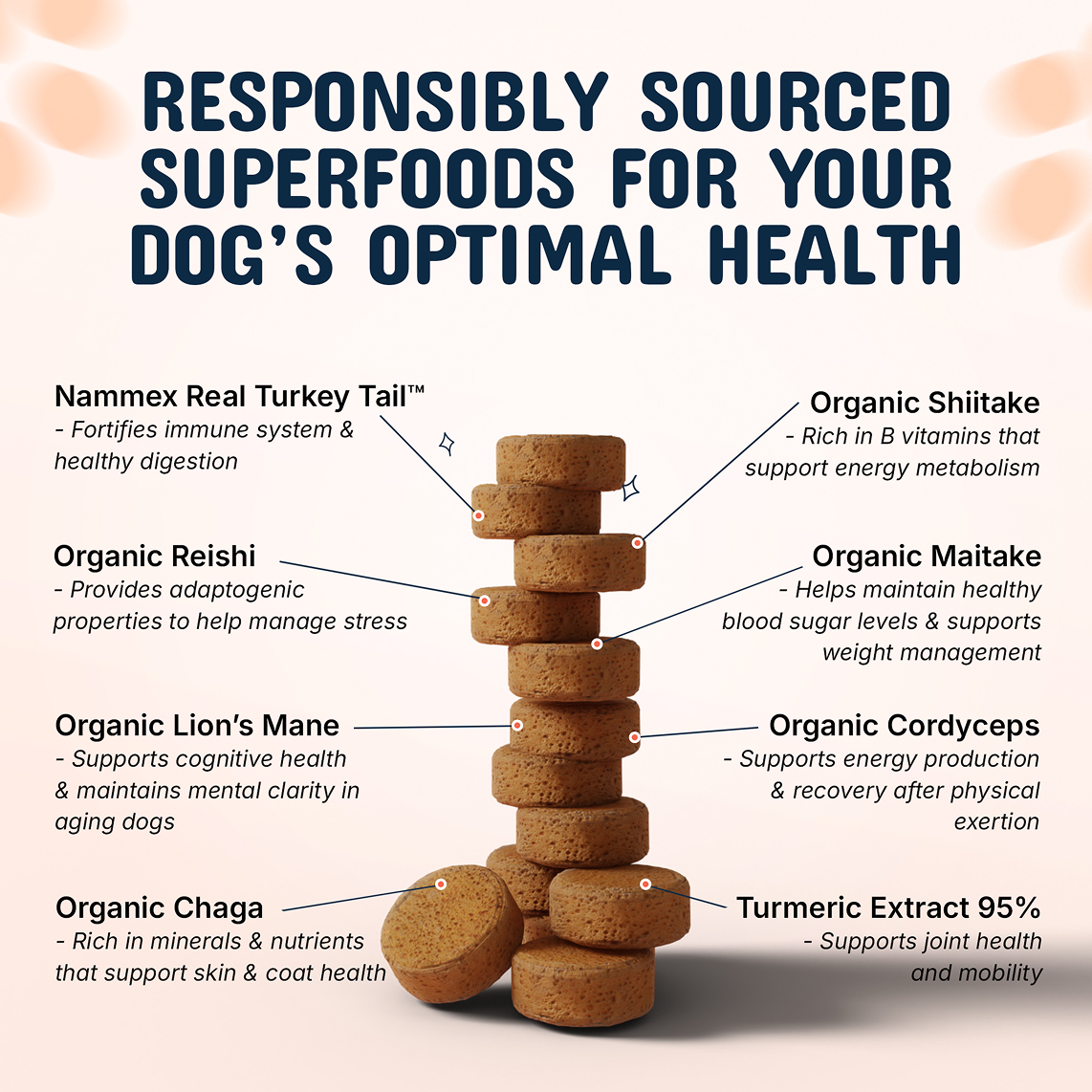 Stack of dog supplements with labels describing health benefits.