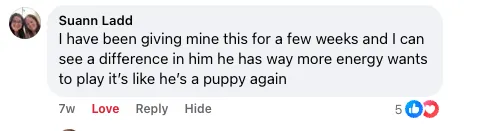 A screenshot of a social media comment by Suann Ladd about her pet having more energy.