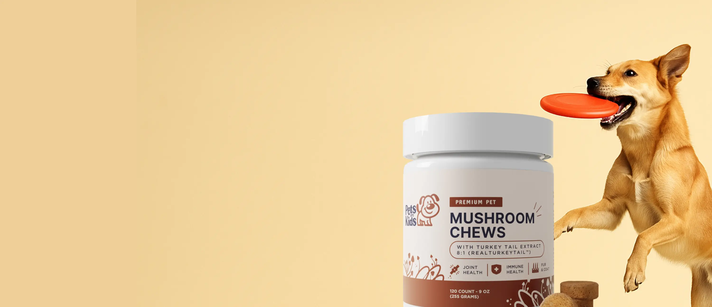 Dog catching a frisbee next to a jar of mushroom chews.