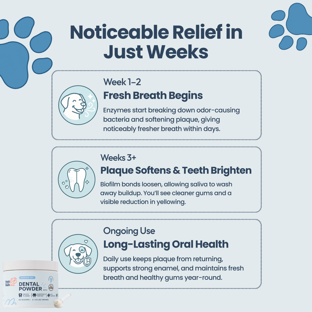An infographic detailing the benefits of dental powder for dogs over several weeks, with product image.