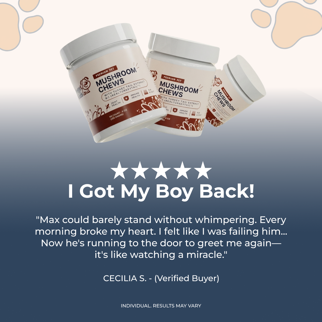 Three jars of Premium Pet Mushroom Chews with a five-star customer testimonial from a verified buyer.