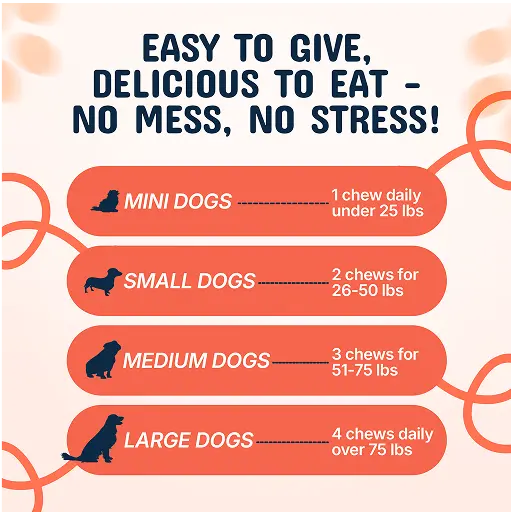 Infographic showing dog chew recommendations by size: mini, small, medium, large.