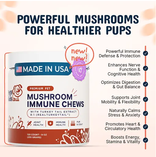 Image of mushroom immune chews for dogs with health benefits listed.