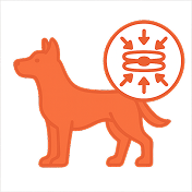 Silhouette of a dog with a circle showing compression arrows.
