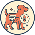 Illustration of a dog with digestive and joint symbols.