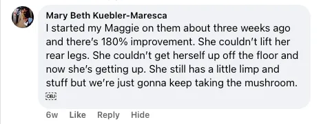 A screenshot of a social media comment from Mary Beth Kuebler-Maresca about her dog's improvement.