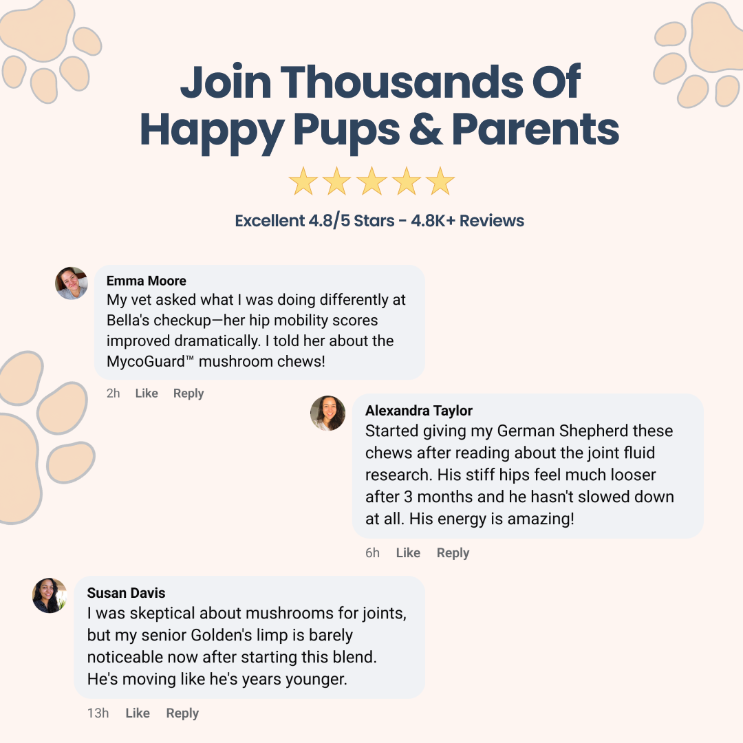 An advertisement showing customer testimonials and a 4.8-star rating for a product for dogs.