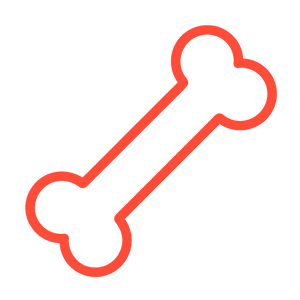 A simple, red outline icon of a bone on a white background.