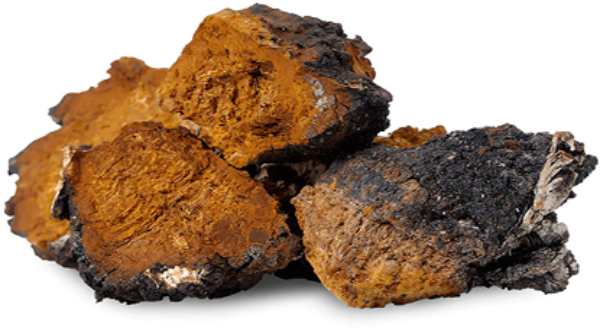 Cluster of brown and black rough-textured rocks.