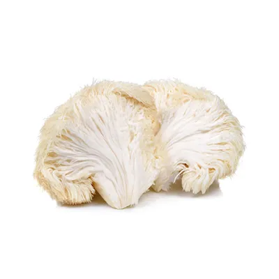 A fresh lion's mane mushroom torn in half, isolated on a white background.