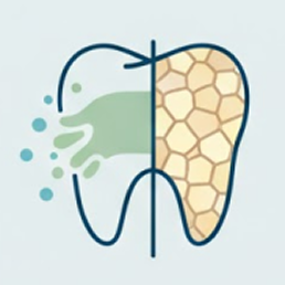 Illustration of a tooth showing two halves: one decayed and one healthy.