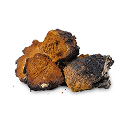 A small pile of raw chaga mushroom chunks with dark exteriors and rusty-brown interiors on a white background.