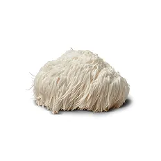 A fluffy, white, yarn-like object on a plain background.