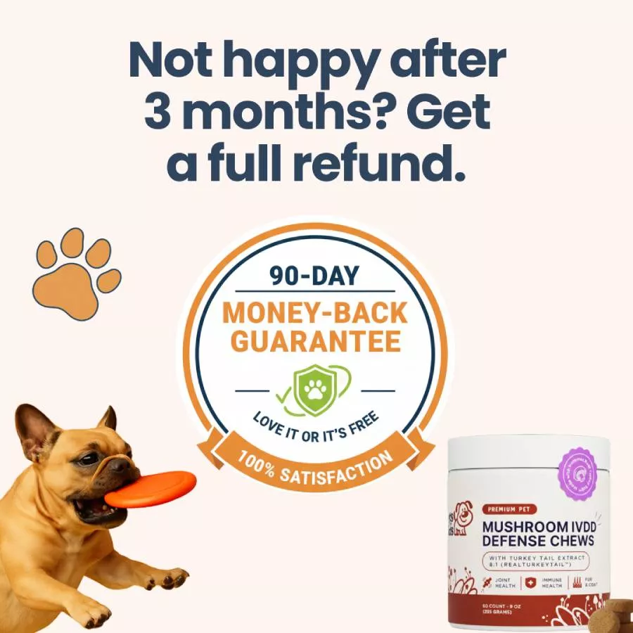 An ad for pet supplements showing a dog catching a frisbee next to the product and a guarantee.