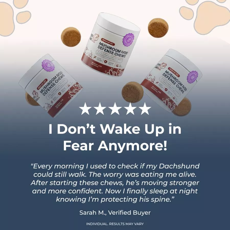 An advertisement for Mushroom IVDD Defense Chews with a five-star rating and a positive customer review.