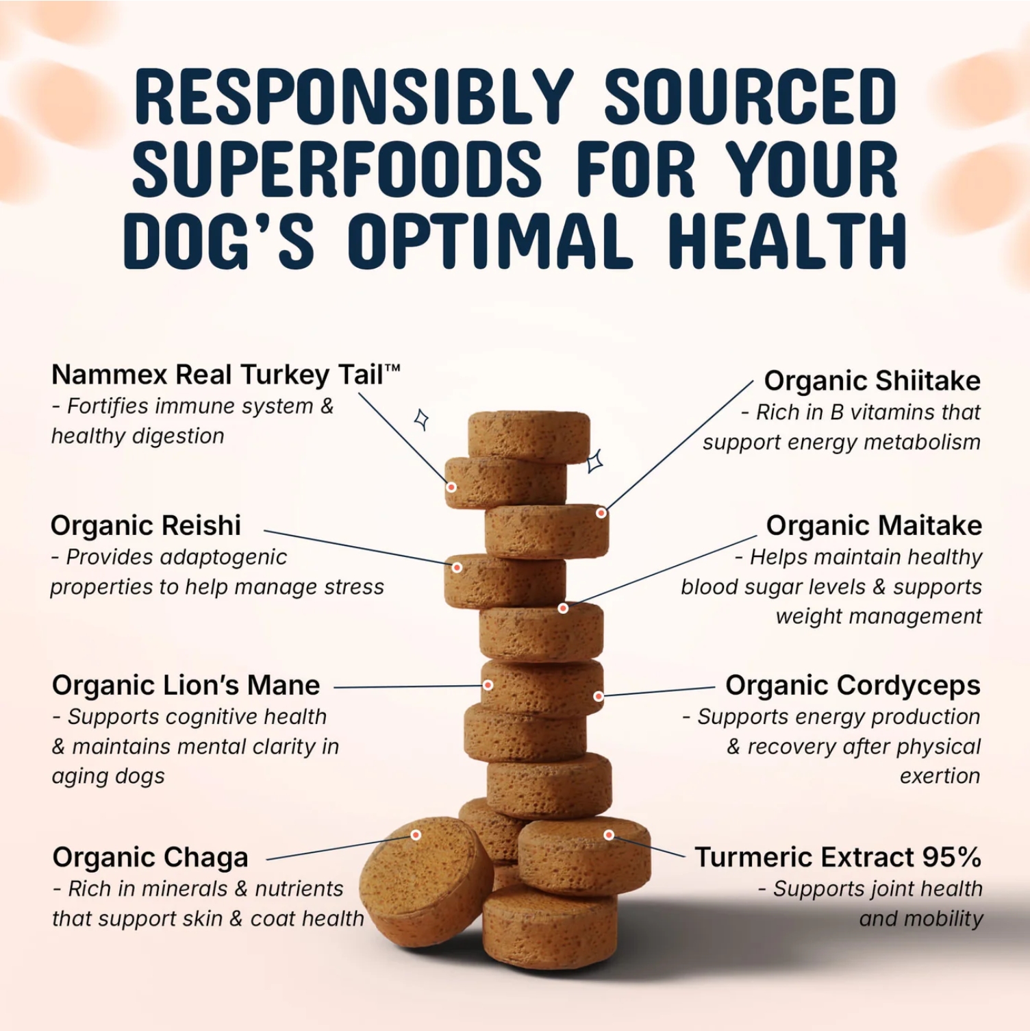 Stack of dog supplements with labels describing health benefits.