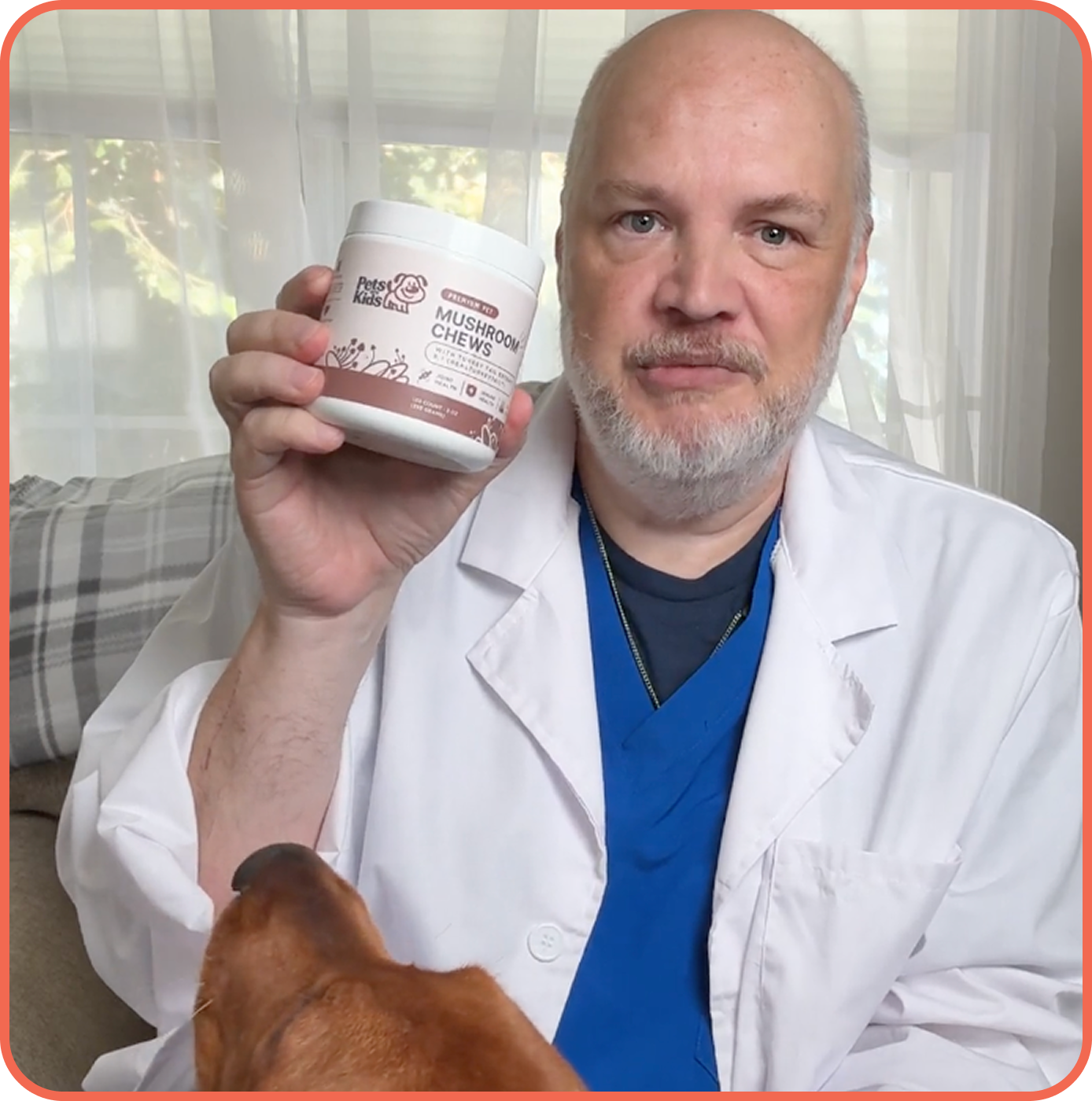 Person wearing a mask holding a small brown dog in a veterinary clinic.
