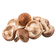 A group of brown mushrooms on a white background.
