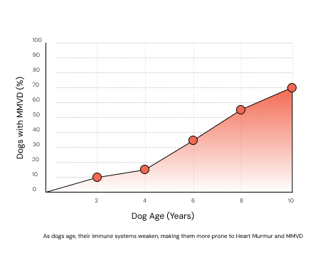 A line graph showing that the percentage of dogs with CCD increases as their age increases.