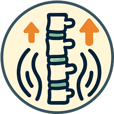 Icon of a spine with arrows pointing upward and curved lines on the sides.