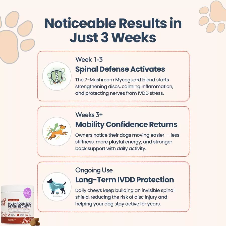 Infographic for dog supplements detailing results in three weeks for spinal defense, mobility, and long-term protection.