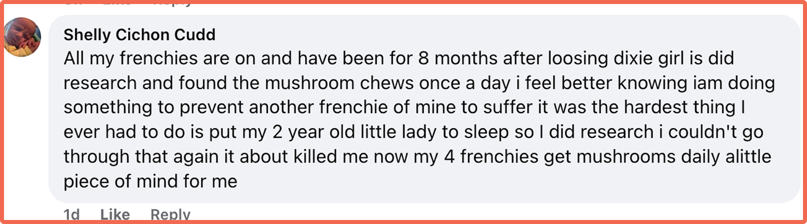 A screenshot of a social media comment about giving frenchies mushroom chews after losing a dog.