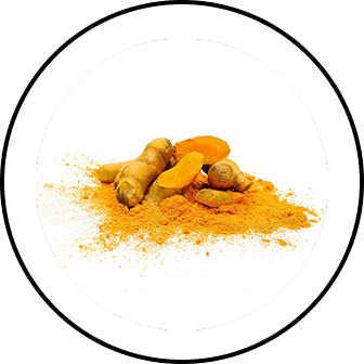 A pile of fresh turmeric root and ground turmeric powder inside a black circular frame on a white background.