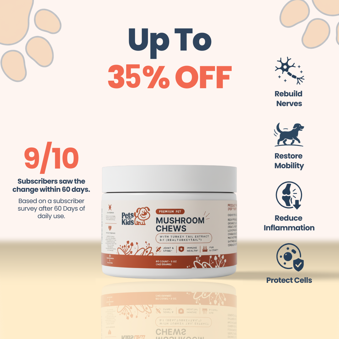 An advertisement for pet mushroom chews, showing the product jar alongside its health benefits and a discount.