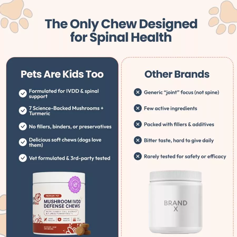An advertisement comparing 'Pets Are Kids Too' spinal health chews for dogs against 'Other Brands' in two columns.