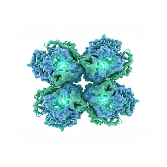 A 3D rendering of a four-part molecular complex in blue and green with glowing centers.
