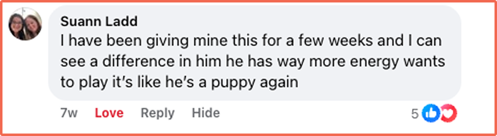 A screenshot of a Facebook comment from Suann Ladd praising a product's effect on her pet's energy.