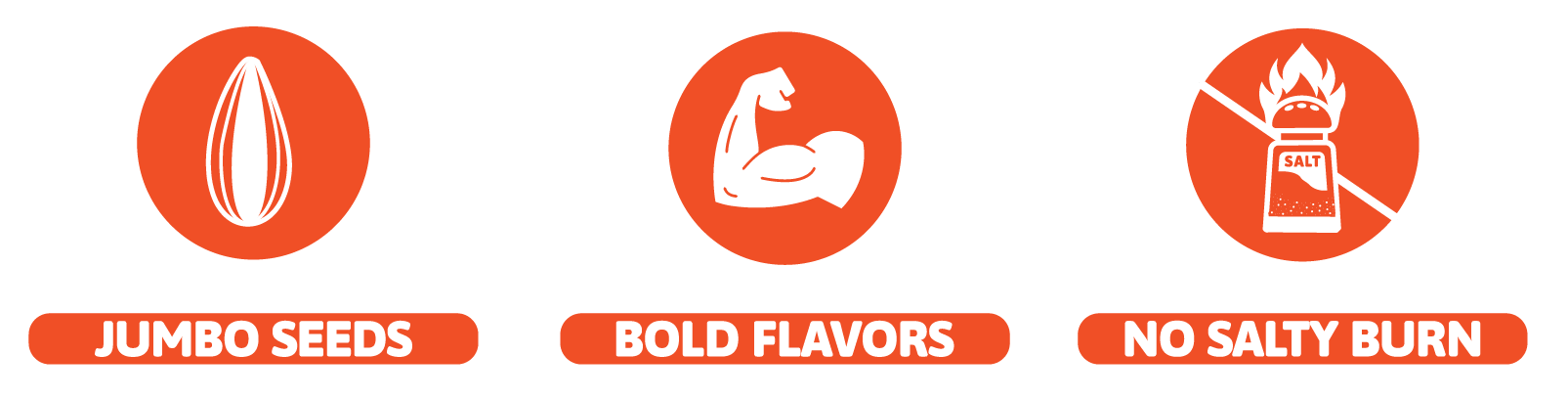 Three icons: jumbo seeds, bold flavors, no salty burn.