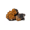 A small pile of raw chaga mushroom chunks against a white background.