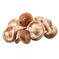 A small pile of fresh shiitake mushrooms with brown caps and white stems against a white background.