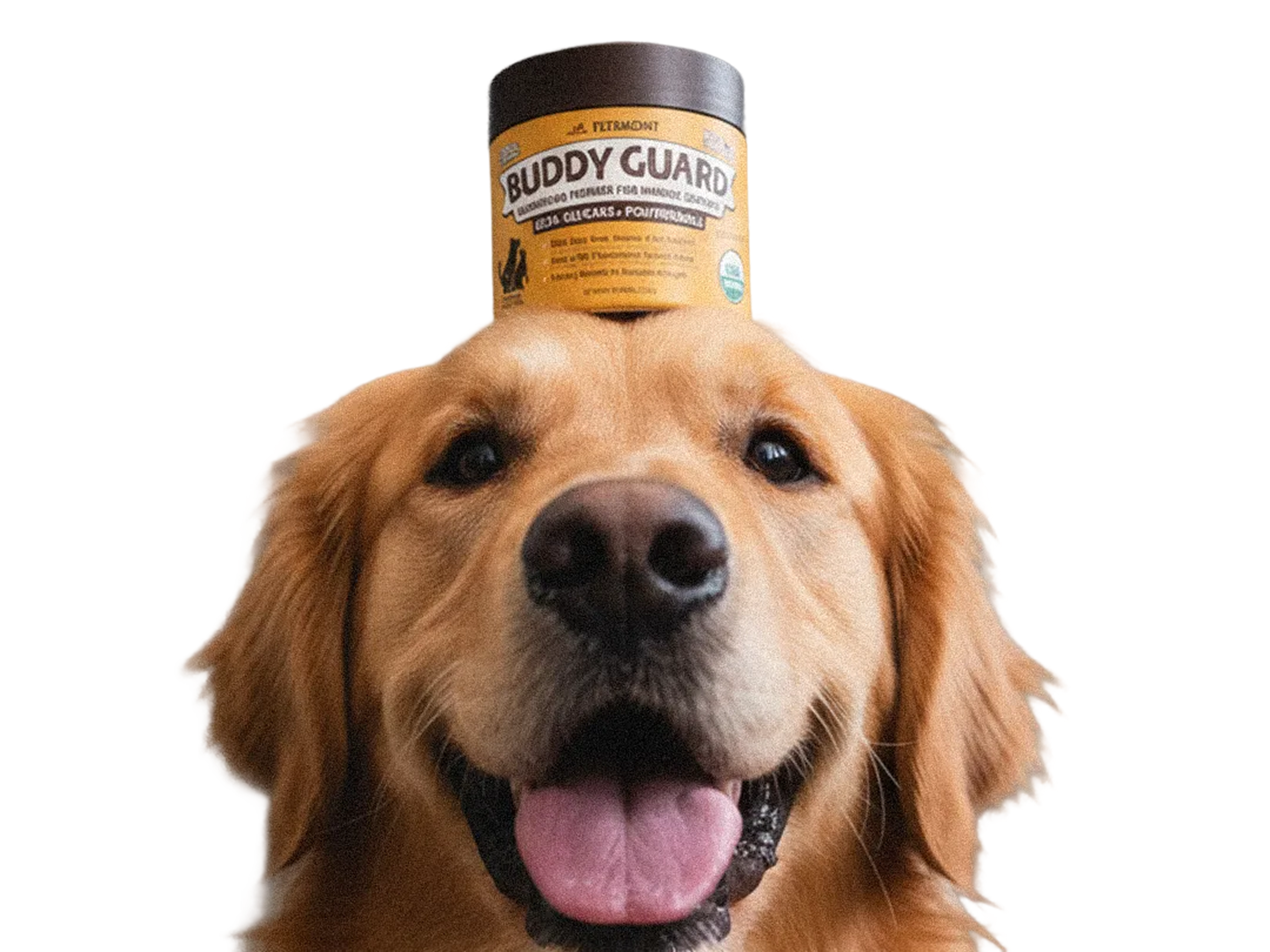 Three containers of Buddy Guard mushroom powder for pets.
